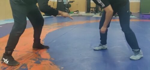 Read more about the article Overage continues to haunt Indian wrestling
